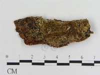登錄號:F0016646藏品圖，第1張