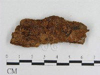 登錄號:F0016646藏品圖，第3張
