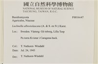 登錄號:F0016647藏品圖，第4張