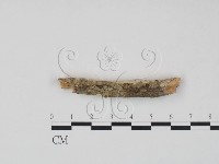 登錄號:F0016648藏品圖，第3張