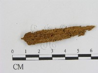 登錄號:F0016649藏品圖，第1張