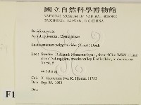登錄號:F0016654藏品圖，第2張