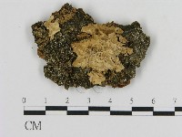登錄號:F0016657藏品圖，第1張
