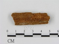 登錄號:F0016658藏品圖，第1張