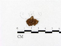 登錄號:F0016659藏品圖，第3張