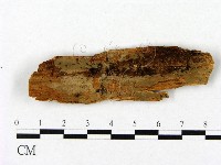 登錄號:F0016660藏品圖，第1張