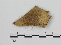 登錄號:F0016661藏品圖，第1張