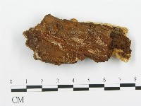 登錄號:F0016662藏品圖，第3張