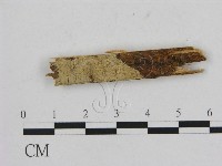 登錄號:F0016663藏品圖，第1張