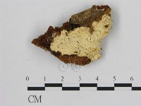 登錄號:F0016664藏品圖，第1張