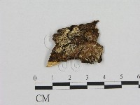 登錄號:F0016666藏品圖，第1張