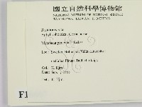 登錄號:F0016667藏品圖，第2張