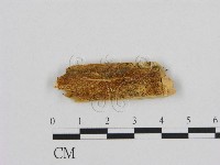 登錄號:F0016667藏品圖，第1張