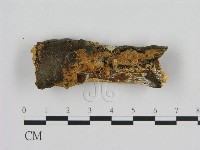 登錄號:F0016668藏品圖，第1張