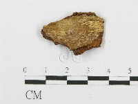 登錄號:F0016671藏品圖，第5張