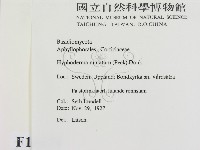 登錄號:F0016674藏品圖，第2張