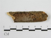 登錄號:F0016678藏品圖，第1張