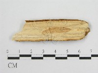 登錄號:F0016678藏品圖，第3張