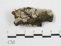 登錄號:F0016679藏品圖，第1張