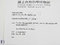 登錄號:F0016681藏品圖，第2張