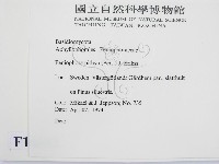 登錄號:F0016682藏品圖，第2張