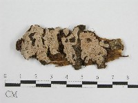 登錄號:F0016683藏品圖，第1張