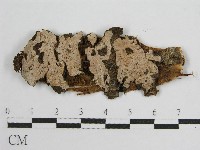 登錄號:F0016683藏品圖，第3張