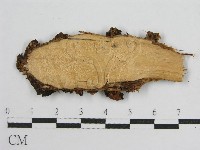 登錄號:F0016683藏品圖，第4張
