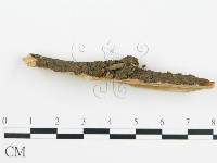 登錄號:F0016684藏品圖，第3張