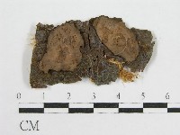 登錄號:F0016685藏品圖，第1張