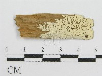 登錄號:F0016687藏品圖，第1張