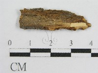 登錄號:F0016688藏品圖，第3張