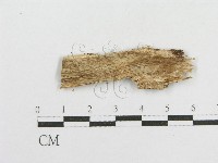 登錄號:F0016691藏品圖，第3張