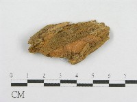 登錄號:F0016694藏品圖，第1張