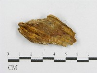 登錄號:F0016694藏品圖，第3張
