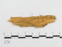登錄號:F0016695藏品圖，第1張