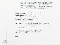 登錄號:F0016696藏品圖，第2張