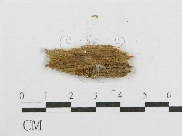 登錄號:F0016696藏品圖，第3張