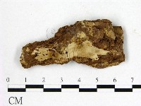 登錄號:F0016697藏品圖，第1張