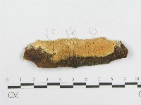 登錄號:F0016698藏品圖，第1張