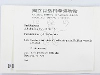 登錄號:F0016699藏品圖，第2張