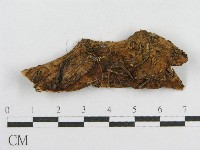 登錄號:F0016699藏品圖，第1張