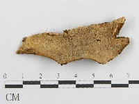 登錄號:F0016699藏品圖，第3張