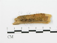 登錄號:F0016700藏品圖，第1張