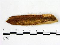 登錄號:F0016701藏品圖，第1張
