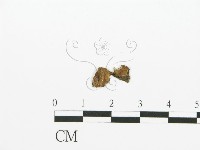 登錄號:F0016702藏品圖，第1張