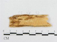 登錄號:F0016703藏品圖，第1張