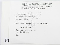 登錄號:F0016705藏品圖，第2張