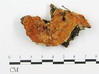登錄號:F0016705藏品圖，第1張