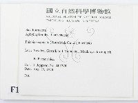 登錄號:F0016707藏品圖，第2張